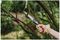 70100446 - Carbon Steel Turbo Folding Saw