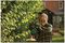 ADVANCEDHEDGECUT 36V-65-28 BARE - 65cm 30mm Gap 36V Li-Ion Cordless Hedge Trimmer - Bare Unit