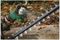 ADVANCEDHEDGECUT 36V-65-28 BARE - 65cm 30mm Gap 36V Li-Ion Cordless Hedge Trimmer - Bare Unit