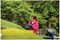 ADVANCEDHEDGECUT 65 (CLASSIC GREEN) - 65cm 34mm Gap 500W Electric Hedge Trimmer, Classic Green 230V