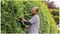 ADVANCEDHEDGECUT 70 (CLASSIC GREEN) - 70cm 34mm Gap 500W Electric Hedge Trimmer, Classic Green 230V