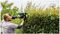 ADVANCEDHEDGECUT 70 (CLASSIC GREEN) - 70cm 34mm Gap 500W Electric Hedge Trimmer, Classic Green 230V
