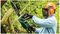 UNIVERSALCHAIN 35 (CLASSIC GREEN) - 35cm 1800W Electric Chainsaw, Classic Green 230V