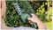 EASYSHEAR (CLASSIC GREEN) - 3.6V Li-Ion Cordless Handheld Shrub & Grass Shear Kit, Classic Green