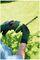 ISIO SHAPE & EDGE (CLASSIC GREEN) - Isio Cordless Shrub & Grass Shears, Classic Green