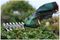 ISIO SHAPE & EDGE (CLASSIC GREEN) - Isio Cordless Shrub & Grass Shears, Classic Green