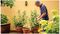 GARDENPUMP 18-2000 BARETOOL CLASSIC - 18V Li-Ion Cordless Garden Pump, Classic Green - Bare Unit
