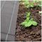 1471 - 2m x 25m Heavy Duty Weed Control Fabric Membrane