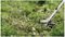 0.600.8C1.K02 - 33cm 36V Li-Ion Cordless Brushless Brush Cutter / Strimmer - Bare Unit