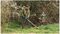 0.600.8C1.K02 - 33cm 36V Li-Ion Cordless Brushless Brush Cutter / Strimmer - Bare Unit