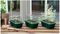 G85X3 - Mini High Dome Propagator, 3 Piece Set