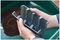G227 - 28 Cell Deep Root Propagator Seed Success Kit