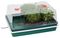G206MO - XL High Dome Electric Propagator