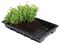 W0002 - Professional Seed Trays, 5 Pack