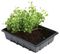 W0006 - Professional Half Seed Trays, 5 Pack