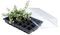 W0030 - Standard Propagator