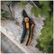 1057169 - Plus™ SmartFit Bypass Pruner Secateurs P541