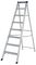 7140818 - 8 Tread MasterTrade Step Ladder