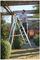 7141018 - 10 Tread MasterTrade Step Ladder