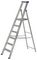 7150618 - 6 Tread MasterTrade Platform Step Ladder