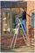 7150618 - 6 Tread MasterTrade Platform Step Ladder