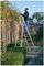 7151018 - 10 Tread MasterTrade Platform Step Ladder