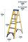 7160618 - 6 Tread Fibreglass Step Ladder