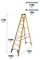 7161018 - 10 Tread Fibreglass Step Ladder