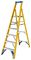7170618 - 6 Tread Fibreglass Platform Step Ladder