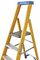 7170618 - 6 Tread Fibreglass Platform Step Ladder
