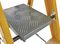 7170618 - 6 Tread Fibreglass Platform Step Ladder