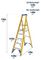 7170618 - 6 Tread Fibreglass Platform Step Ladder