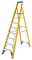 7170818 - 8 Tread Fibreglass Platform Step Ladder