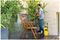 K 2 HOME - 1400W 110 Bar K2 Home Pressure Washer Kit 230V