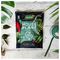 10200085 - House Plant Compost Potting Mix, 4L