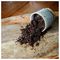 10200085 - House Plant Compost Potting Mix, 4L