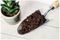 10200094 - Cacti & Succulent Compost Potting Mix, 4L