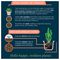 10200094 - Cacti & Succulent Compost Potting Mix, 4L