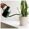 20100516 - House Plant Feed Concentrate, 200ml