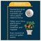 20100520 - Citrus Plant Feed Concentrate, 200ml