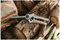 70100506 - Perennial Hand Shears