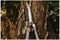 70100427 - SureCut Hedge Shears