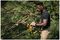 DCMPS520N-XJ - 8" (20cm) 18V XR Li-Ion Cordless Pruning Chainsaw - Bare Unit