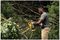 DCMPS520N-XJ - 8" (20cm) 18V XR Li-Ion Cordless Pruning Chainsaw - Bare Unit