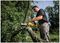 DCMPS520N-XJ - 8" (20cm) 18V XR Li-Ion Cordless Pruning Chainsaw - Bare Unit