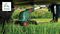 UNIVERSALGRASSCUT 18V-26-500 BARE - 26cm 18V Li-Ion Cordless Grass Trimmer with Extra Spool  - Bare Unit