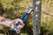 68450 - 10" (260mm) Expert Fencing Pliers