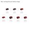 BRILLIANTO - Power X-Change 18V Li-Ion Cordless Window Vacuum - Bare Unit