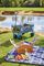 3217 - Foldable Garden Trolley / Festival Cart with Large Wheels, 80kg