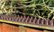 GH305 - Small Animal Wall & Fence Deterrent Spikes, 10 Pack